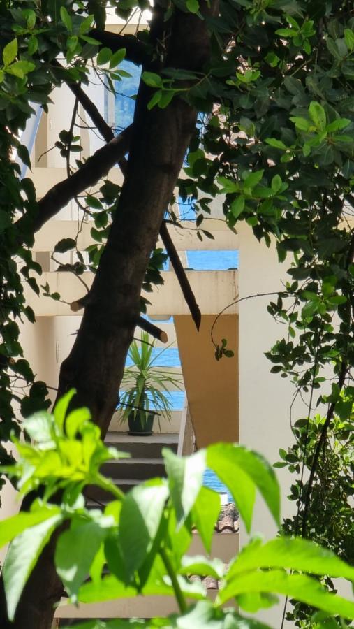 Apartment Savina แฮร์เซ็ก-โนวี ภายนอก รูปภาพ